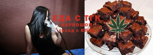 эйфоретик Ельня