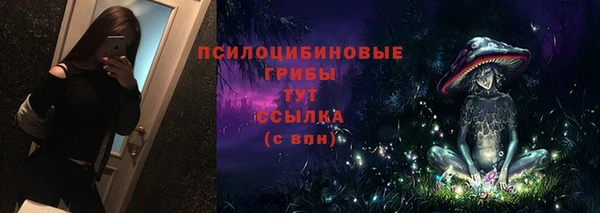 шишки Дмитриев