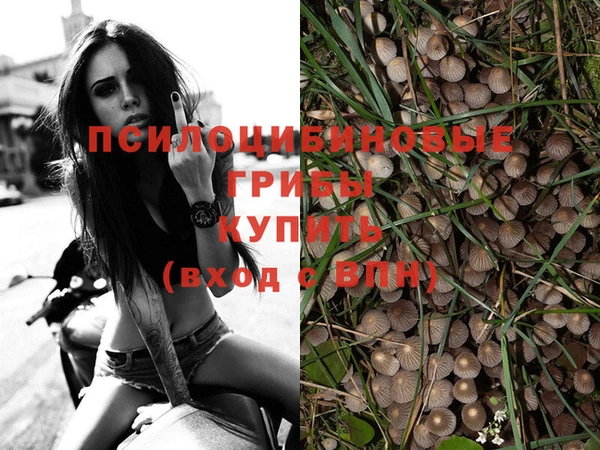 эйфоретик Ельня