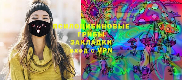 apvp Дмитров