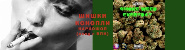 эйфоретик Ельня