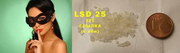 эйфоретик Ельня