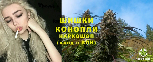 эйфоретик Ельня