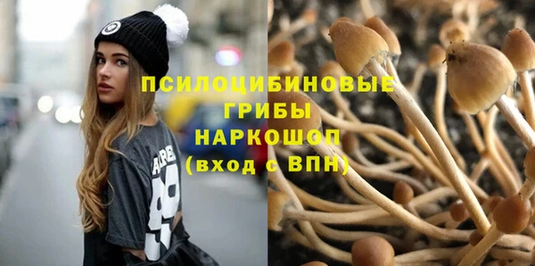 эйфоретик Ельня