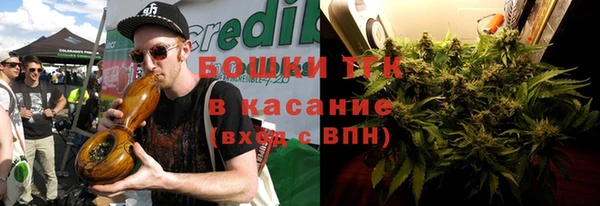 эйфоретик Ельня