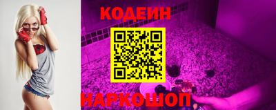 гашик Берёзовский