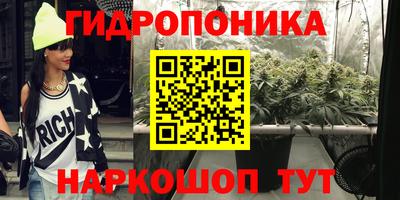 гашик Берёзовский