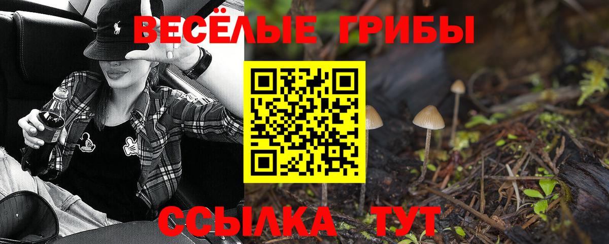 Меф МЯУ МЯУ кристаллы  MDMA  Вход с VPN  Канабис  Елизово  ГАШИШ  Меф 
