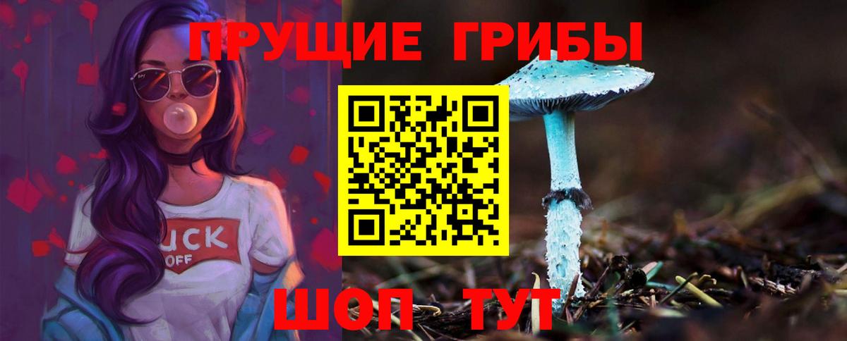 Галлюциногенные грибы Cubensis Елизово