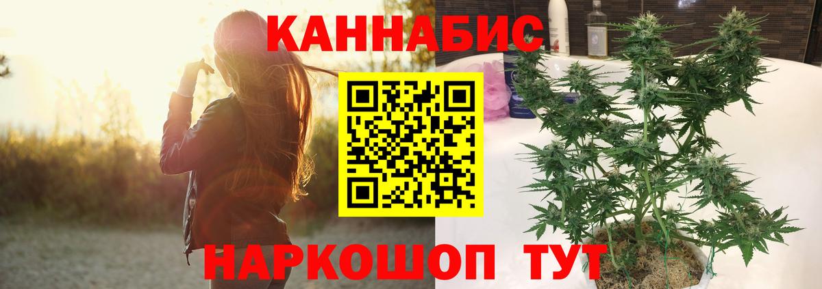 Канабис план Елизово